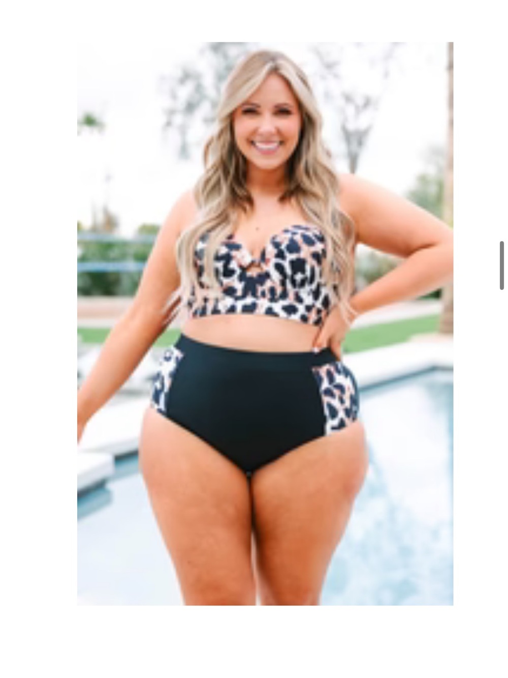 Cheetah And Black Swimsuit Set 2X NWOT